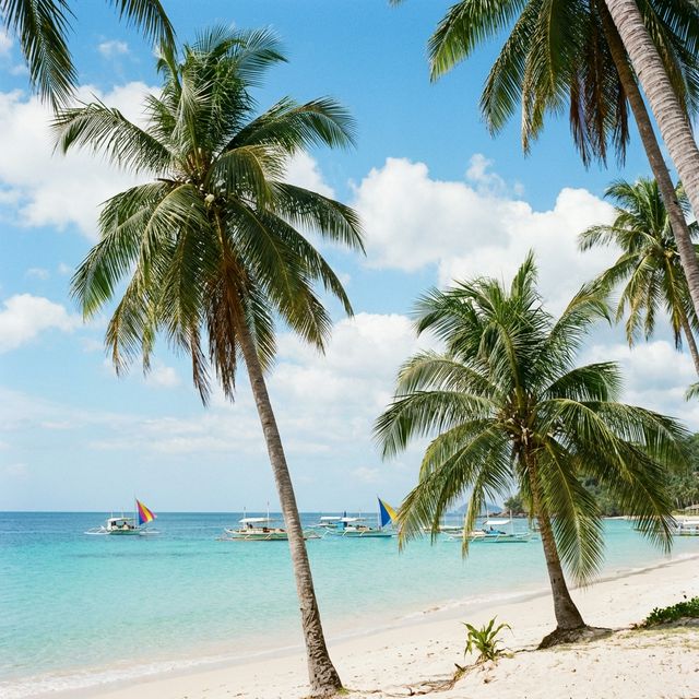 Crystal clear waters and palm trees at Nacpan Beach